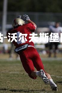 球王会体育官方网站-沃尔夫斯堡队员的城市探索活动